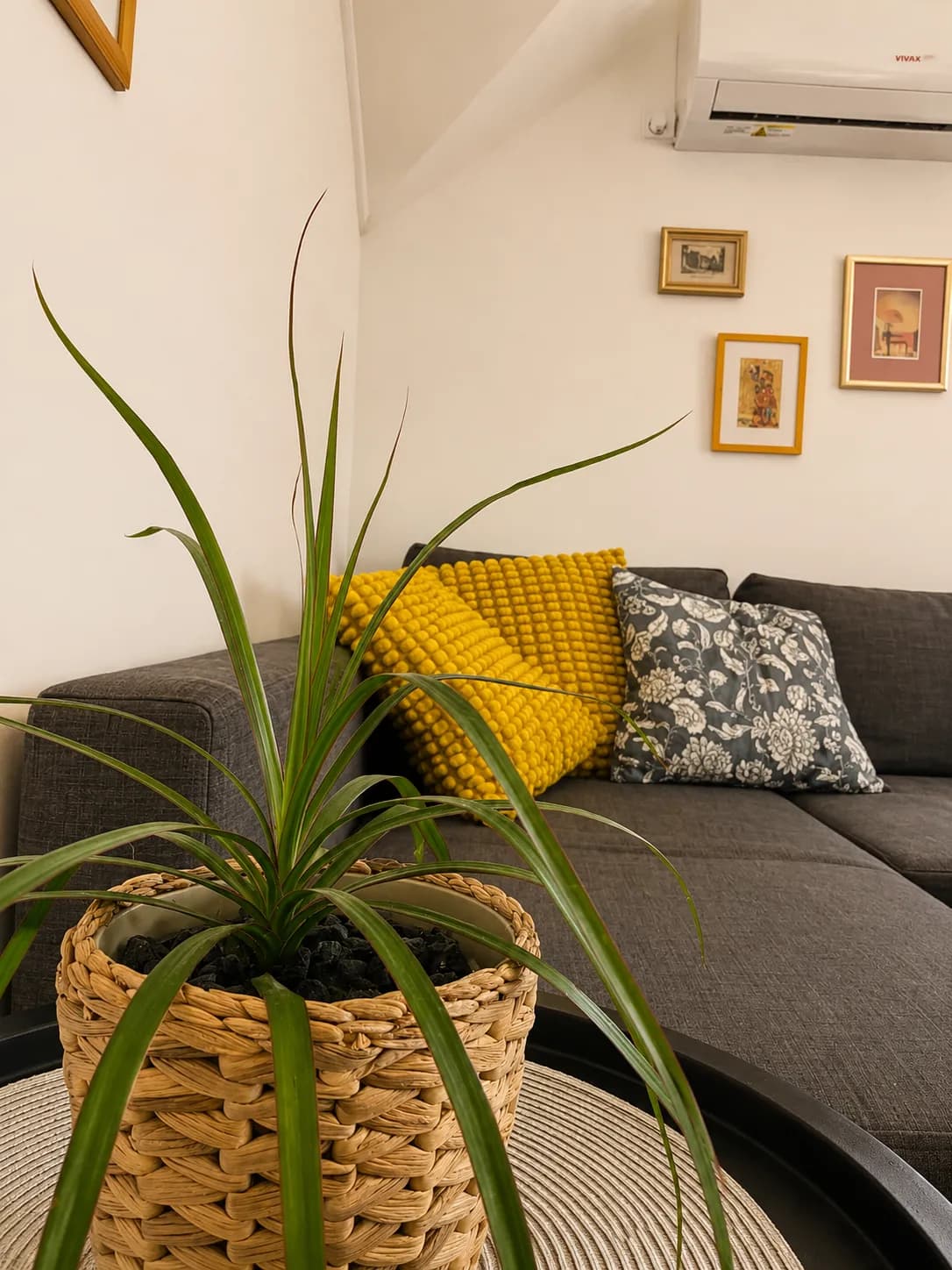 Deluxe Apartment 3, Foto 4